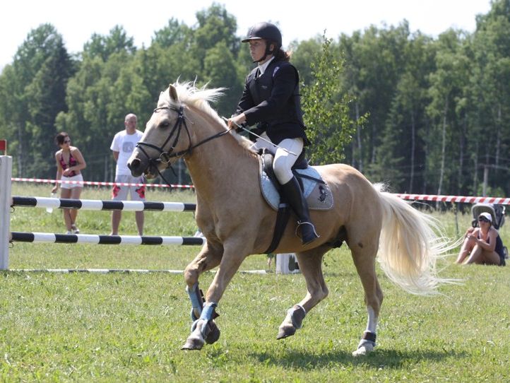 Paemurru karikas 2011 kahekordsed võitjad - Kati Raidma ja eesti tõugu täkk Ralf (aretaja ja omanik OÜ Probil)